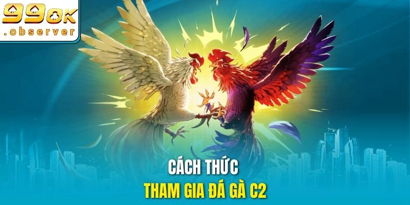 Cách thức tham gia đá gà c2