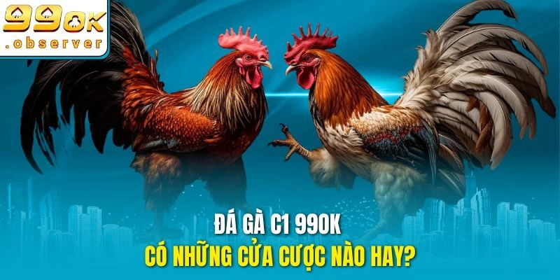 Đá gà c1 99ok có những cửa cược nào hay?