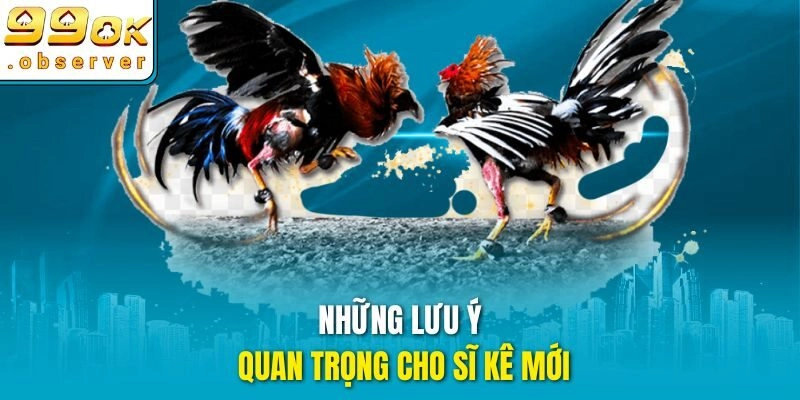 Những lưu ý quan trọng cho sĩ kê mới